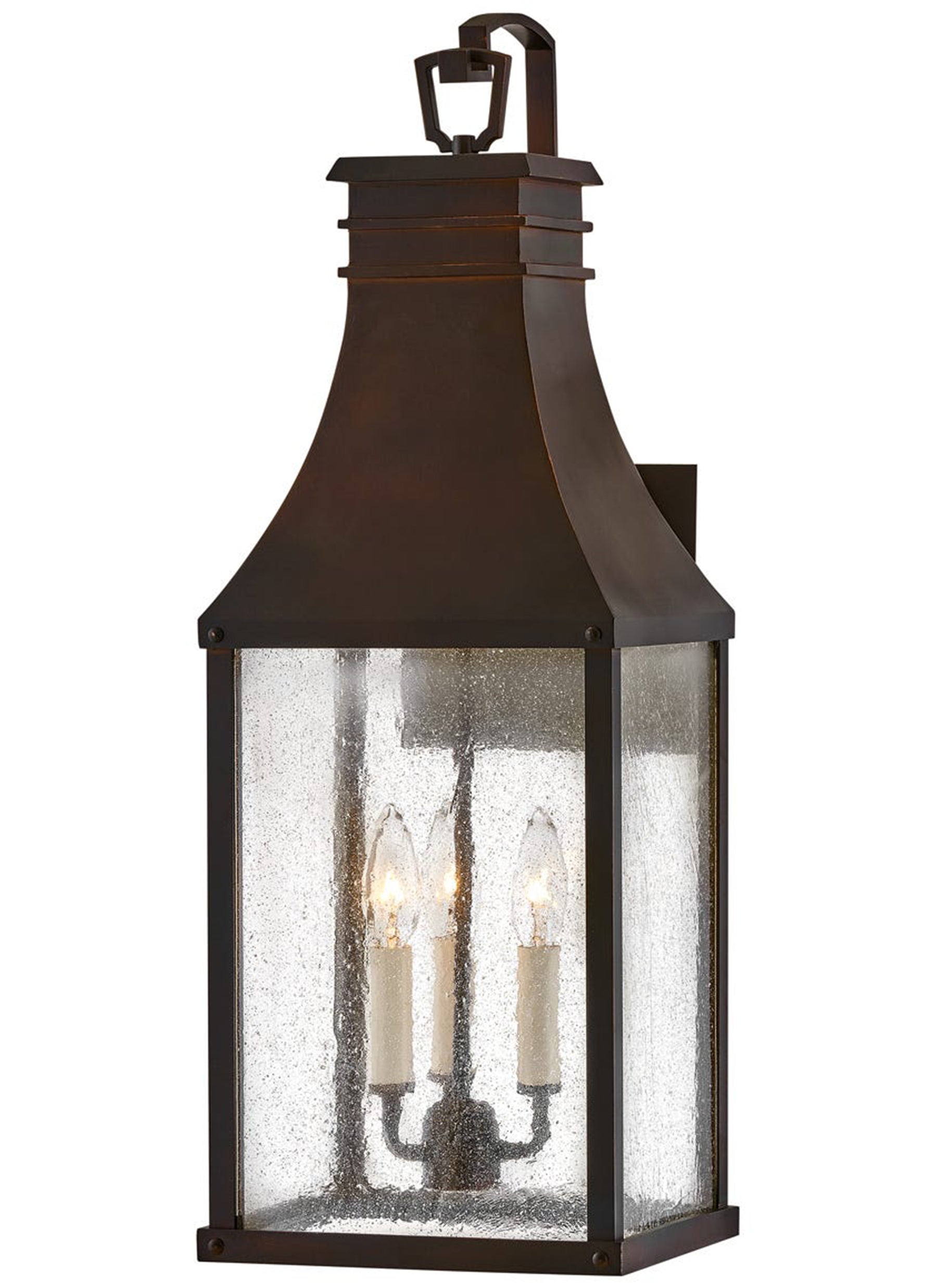 Beacon Hill 3L large outdoor wall lantern - 17465BLC