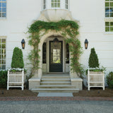 Endsley 1L Wall Mount Lantern - 28860BLB