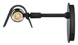 Barrett 2L picture light - 48524BK *