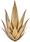 Agave 2L Sconce - FR30810BNG