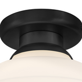 Penny 1L Flush Mount - 84323BK *